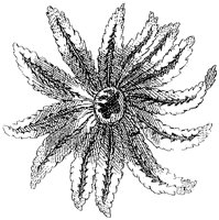 HPN074CY.TIF