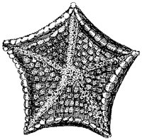 HPN074CT.TIF