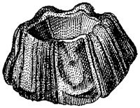 HPN074CE.TIF
