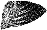 HPN074CA.TIF