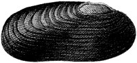 HPN074BL.TIF