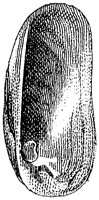 HPN074BI.TIF
