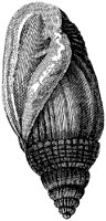 HPN074BA.TIF