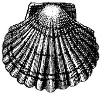 HPN074AS.TIF