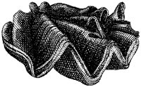 HPN074AR.TIF