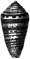 HPN074AI.TIF