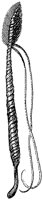 HPN073ED.TIF