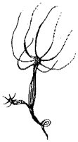HPN073EC.TIF