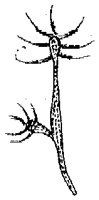 HPN073EA.TIF