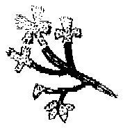 HPN073DZ.TIF