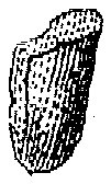 HPN073DX.TIF
