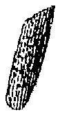 HPN073DV.TIF