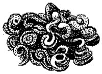 HPN073DS.TIF