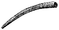 HPN073DP.TIF