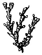 HPN073DG.TIF