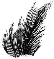 HPN073DA.TIF