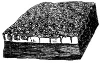 HPN073CV.TIF