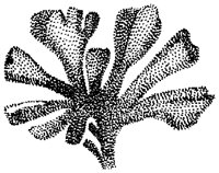 HPN073CU.TIF