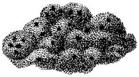 HPN073CS.TIF