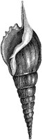 HPN073BZ.TIF