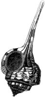 HPN073BI.TIF