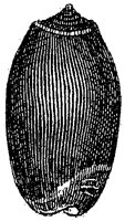 HPN073BC.TIF