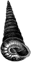HPN073BA.TIF