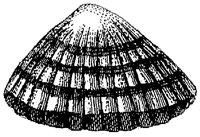 HPN073AS.TIF