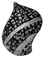 HPN073AR.TIF