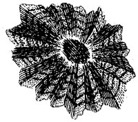 HPN073AL.TIF