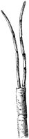 HPN073AH.TIF