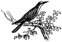 HPN072DZ.TIF