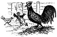 HPN072DT.TIF