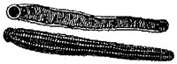 HPN072AX.TIF
