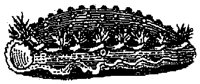 HPN072AT.TIF
