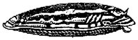 HPN072AS.TIF