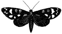 HPN077FM.TIF
