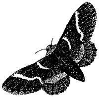 HPN077FI.TIF
