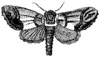 HPN077FE.TIF