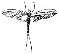 HPN077ER.TIF