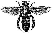 HPN077DH.TIF