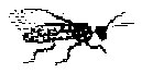 HPN077DB.TIF