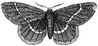 HPN077CQ.TIF