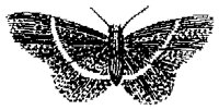 HPN077CI.TIF