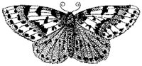 HPN077CA.TIF