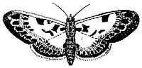 HPN077BT.TIF