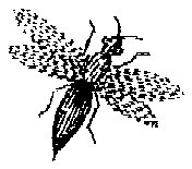 HPN077AS.TIF