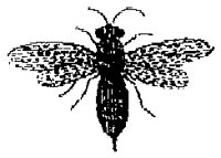 HPN077AR.TIF