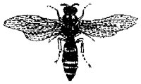 HPN077AG.TIF