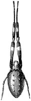 HPN076CA.TIF